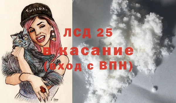 крисы Аркадак