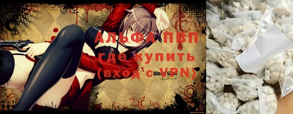 крисы Аркадак