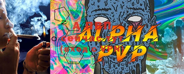 крисы Аркадак