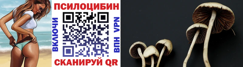 Псилоцибиновые грибы Psilocybine cubensis  даркнет сайт  Усинск 
